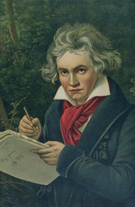 Ludwig van Beethoven, siglo XIX